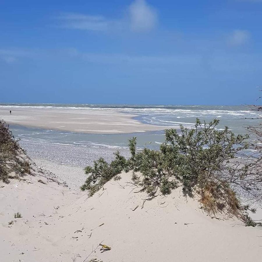 Un P'tit Nid Au Paradis *